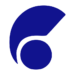 api logo